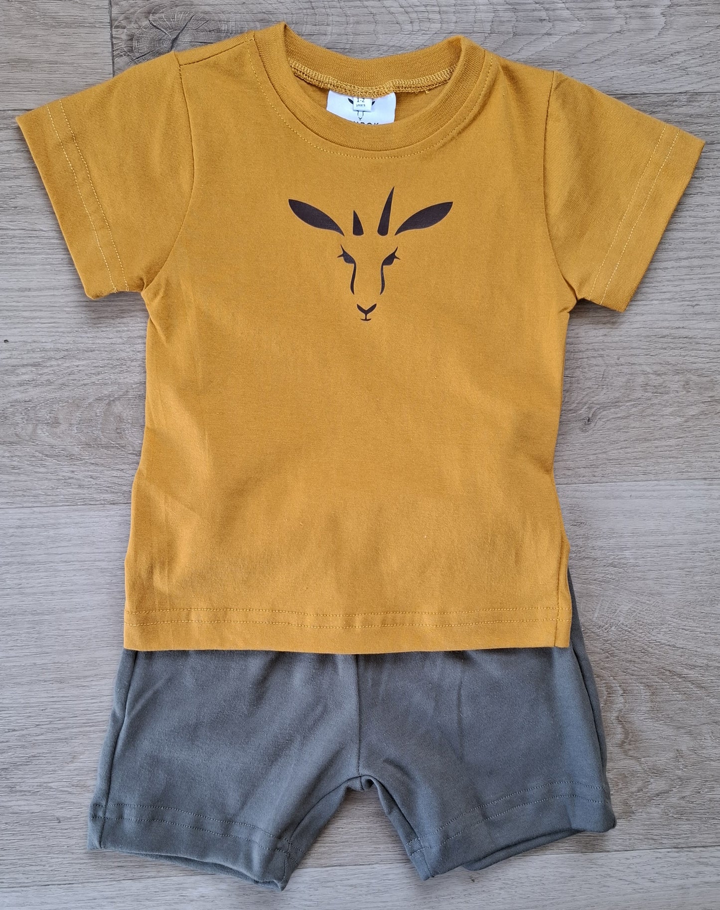 PenBok Kiddies Shorts