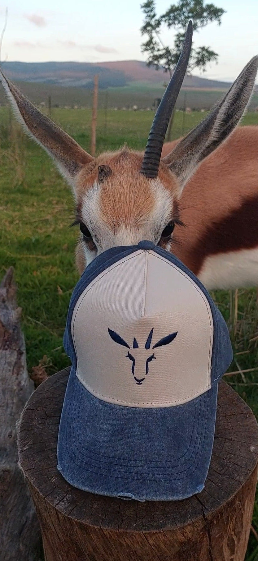 Outdoor Caps
