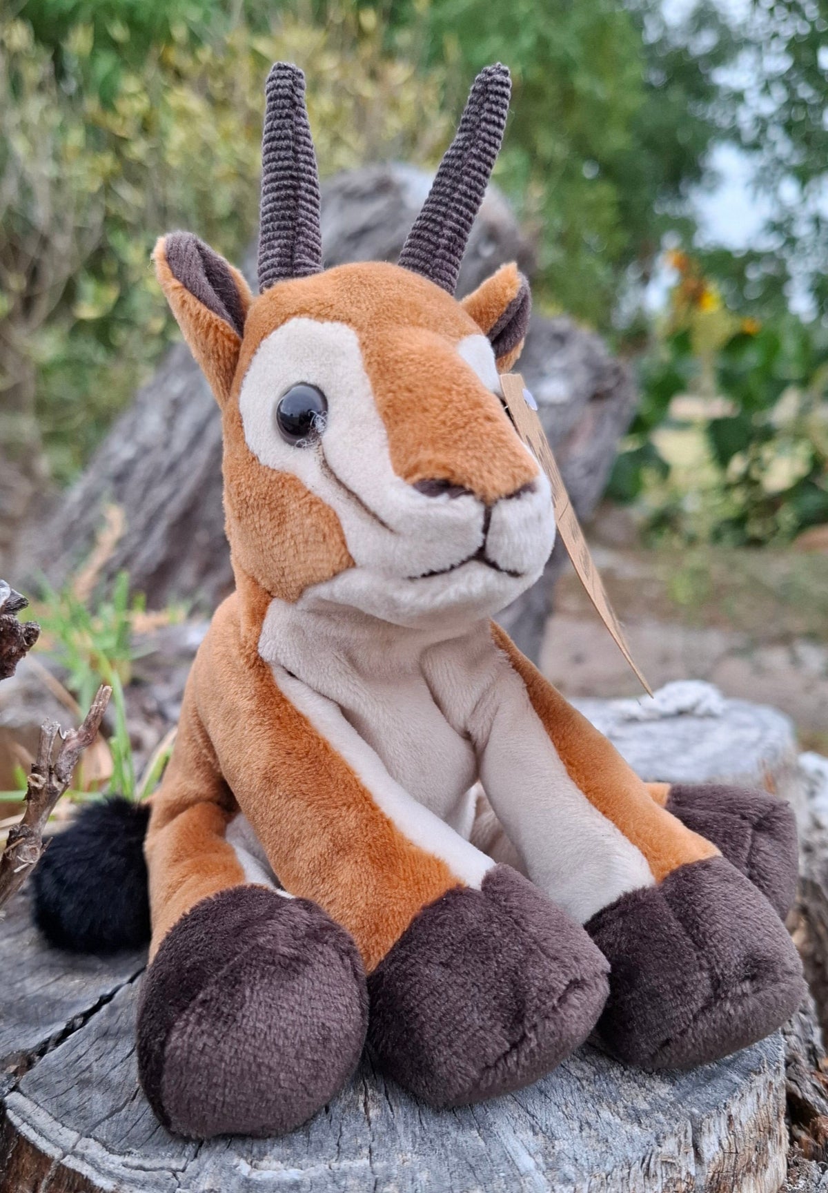 Born in Africa Plush Springbok Toy – 15cm Wildlife Collection – Penny ...