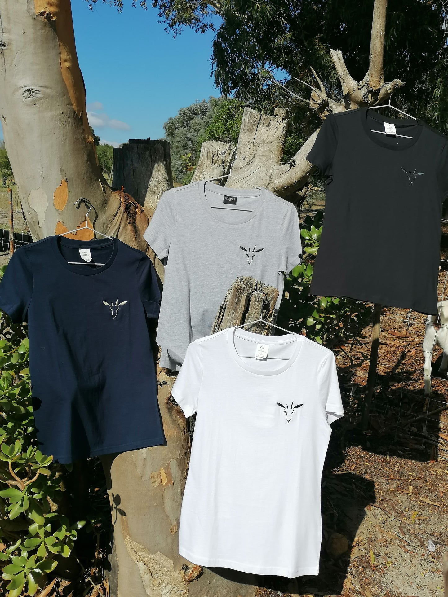 Ladies PenBok Single Jersey Cotton Tee